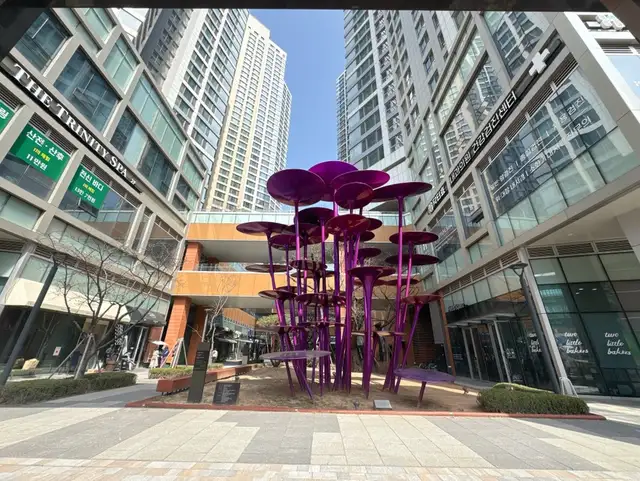 몽드메리 사진 1
