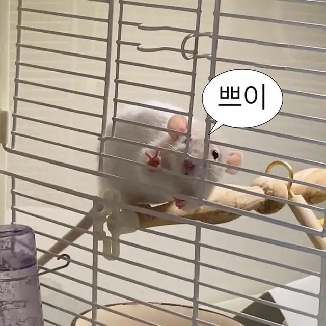 네일쿠잉 사진 4