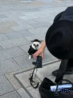 스튜디오 코하 사진