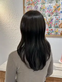 베르티니헤어 사진