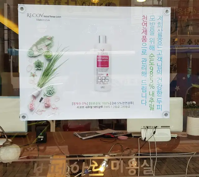 보떼아르 사진 2