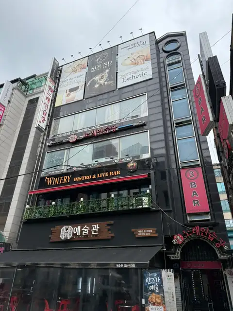 사운드바디 사운드스킨 성신 D.Origin 센터 사진 3