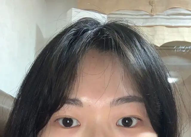 루시드브로우 사진 5