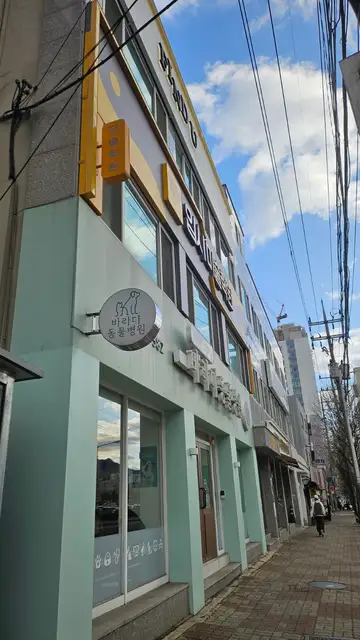 파인유 사진 7