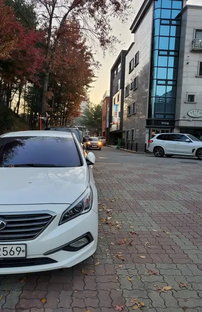 에이바헤어 단관점 사진 2
