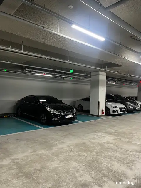 마이위프 사진 2