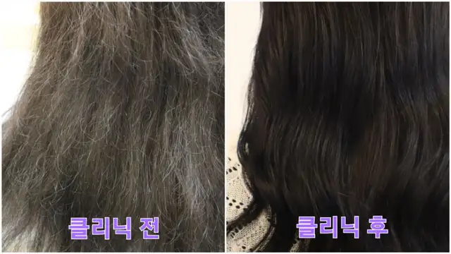풀럭 사진 5