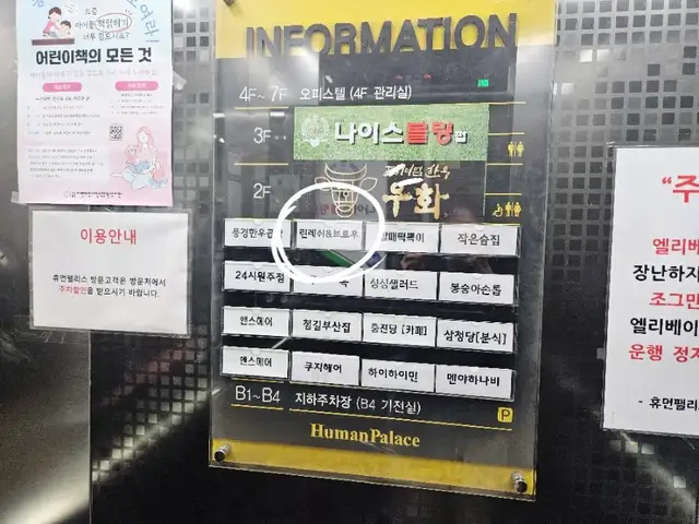 린레쉬엔브로우 사진 6