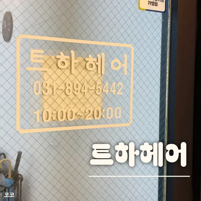 트하헤어 사진 5