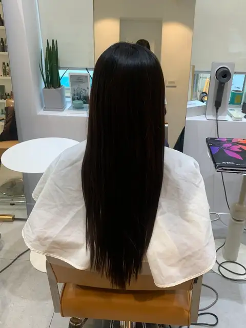 봄디아 사진 3