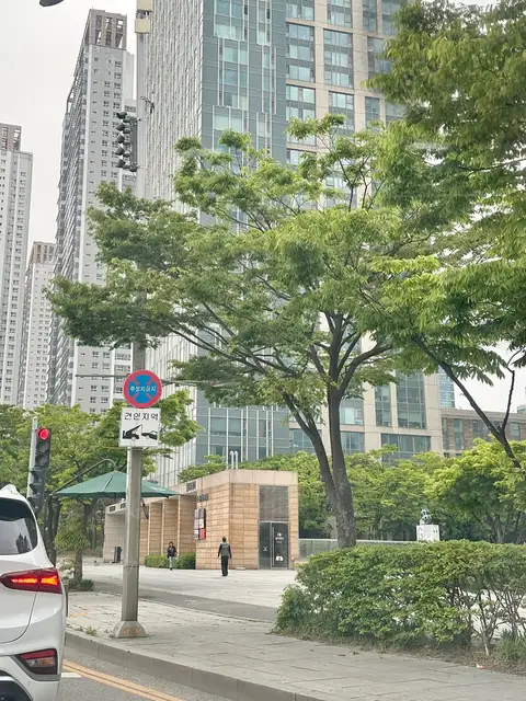 엠에스네일 사진 4