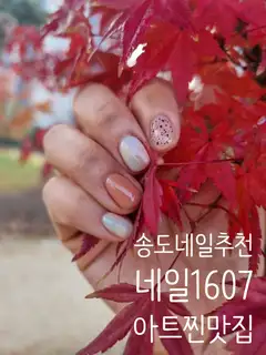 네일1607 사진