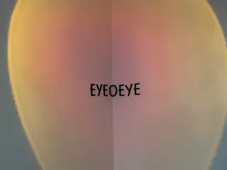 아이오아이스킨 사진