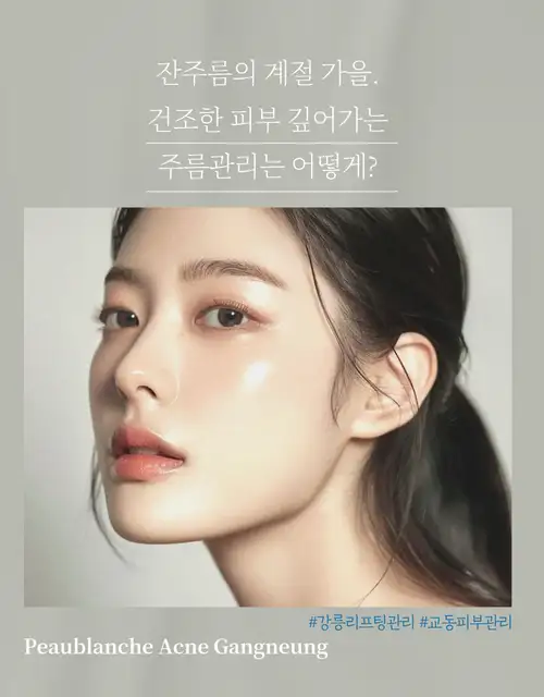 포블랑슈아크네 사진 8