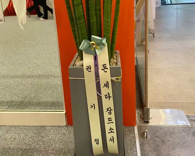 리플바레 사진 1