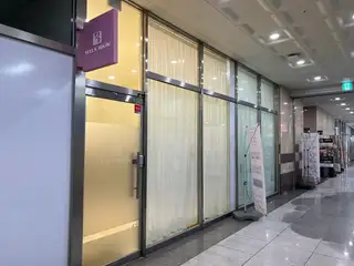벨라브로우 사진