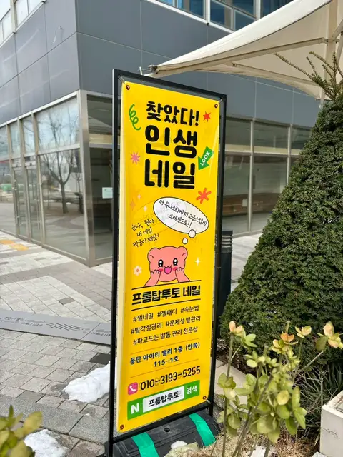 프롬탑투토 사진 8