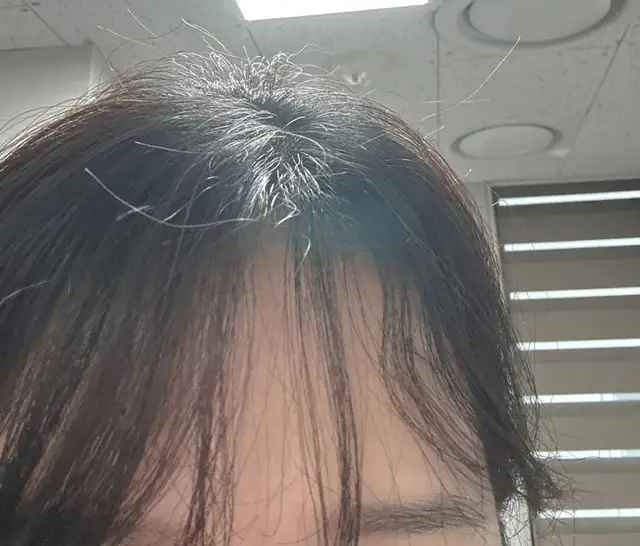 제시아헤어 사진 2