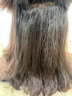 센느 사진