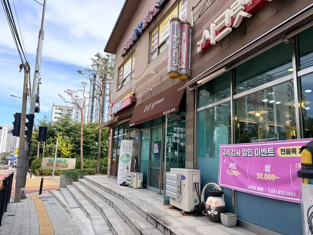 물들임 사진 5