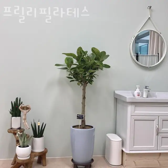프릴리필라테스 사진 8