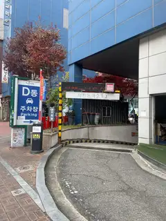 래쉬투고 사진