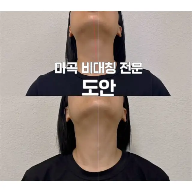 도안 사진 5