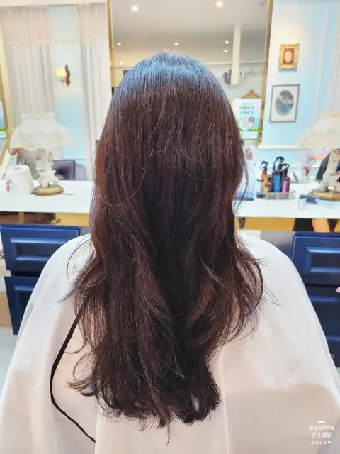 펠리아럭스 부산본점 사진 2