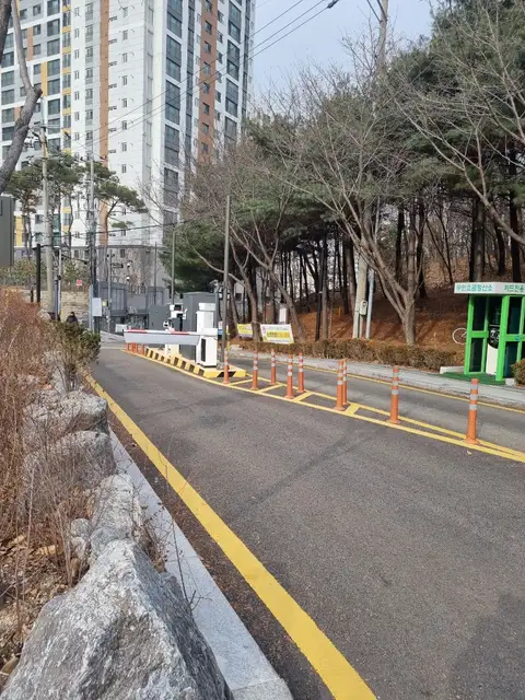 청초 사진 8