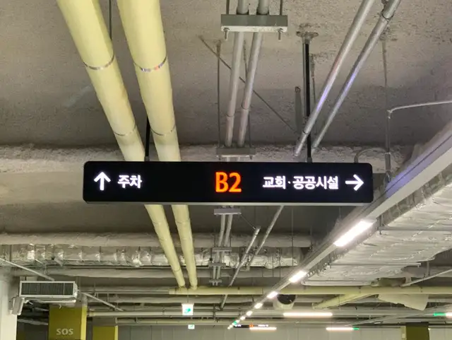 리드왁싱 사진 8