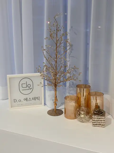 디오 에스테틱 사진 5