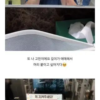 핀다헤어 사진