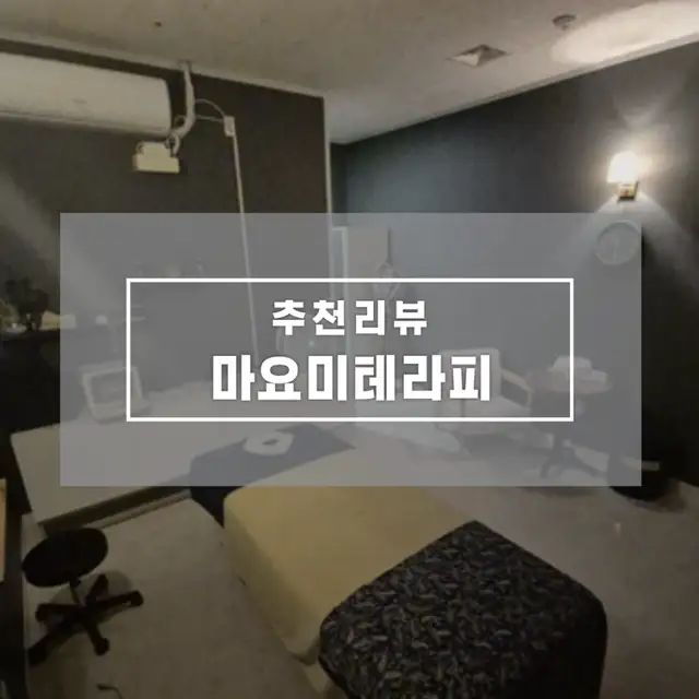 마요미테라피 사진 3