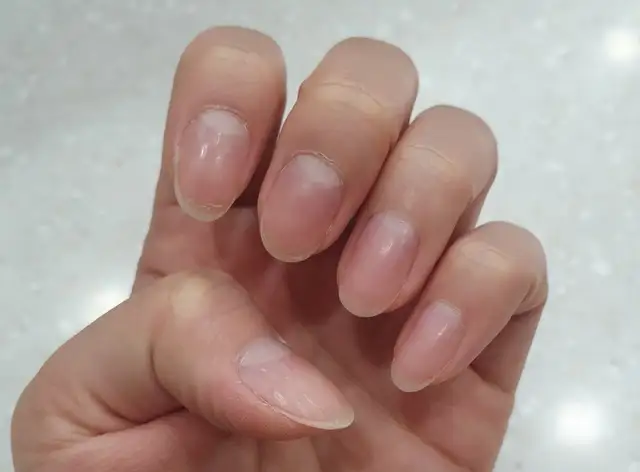 살롱드초이 사진 5