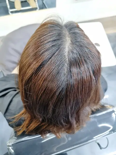 살롱 드 시선 사진 2