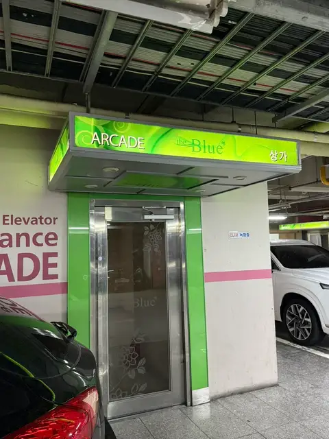 단스킨 사진 8
