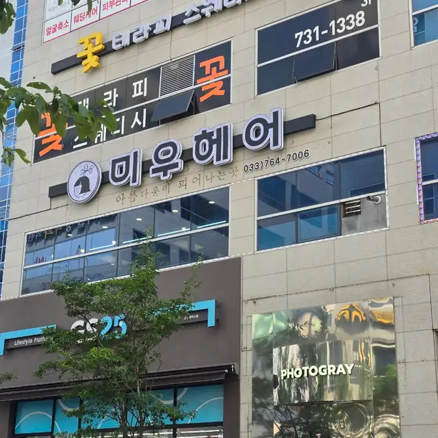 미우헤어 사진 5