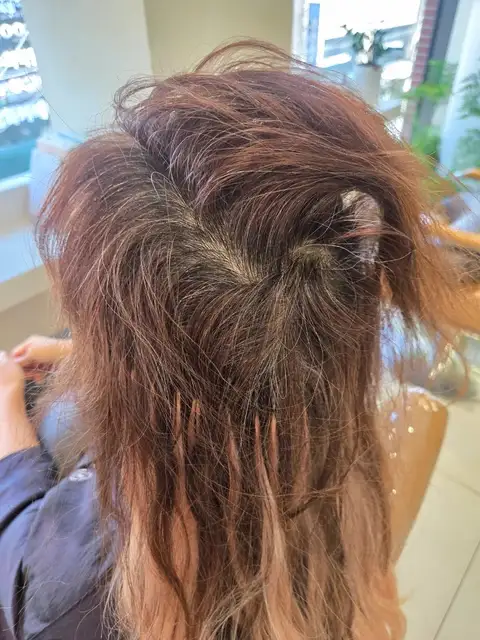 하이컬러 사진 3
