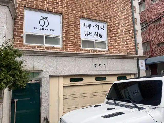 피치피치 사진 2