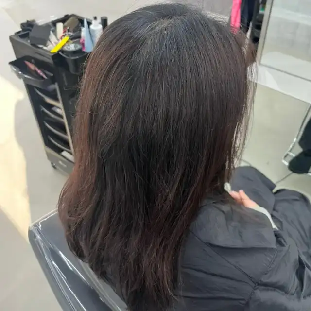 드안 사진 7