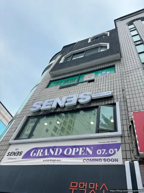 세네즈 헤어 사진 2