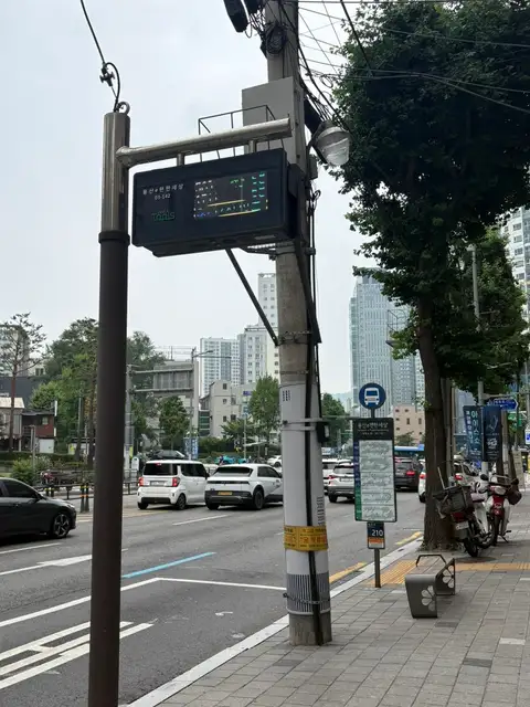 네일더누브 사진 4