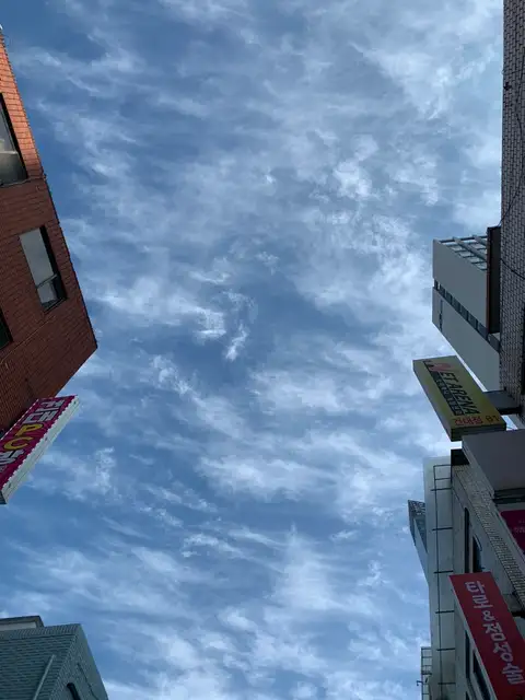 트러스트빈 사진 3
