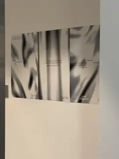FF 성수 사진