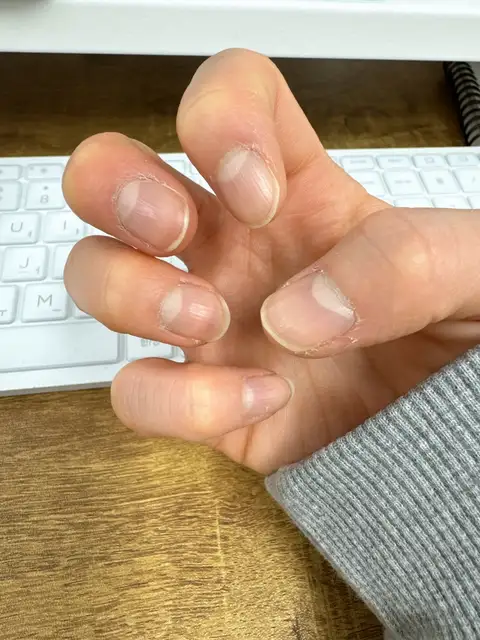 더뉴올 사진 6