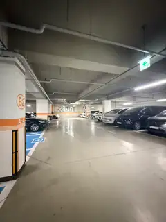 에스떼벨라 사진