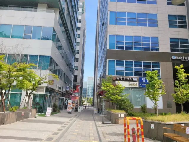 루씨드뷰티 사진 3