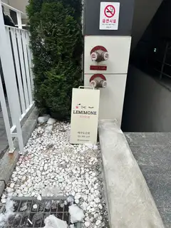 르미모네 사진