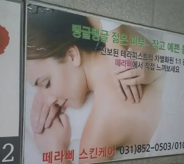 떼라삐 사진 2