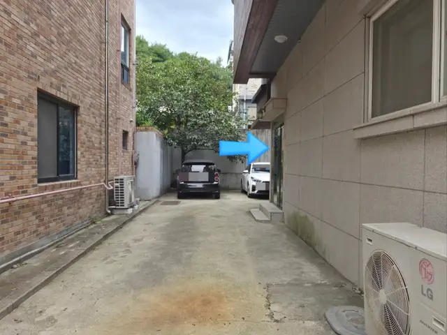 샐리숲피부 사진 8